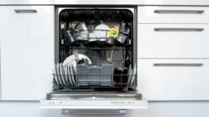A Do-It-Yourself Guide in Troubleshooting your Dishwashers